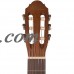 Rise by Sawtooth 3/4 Size Beginner's Acoustic Guitar with Accessories, Satin Gold Stain   556374127